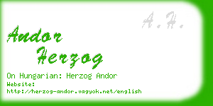 andor herzog business card